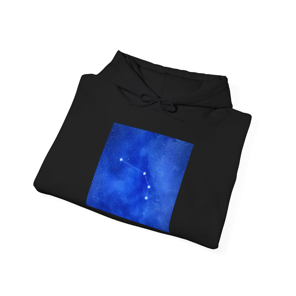 Aries Hoodie